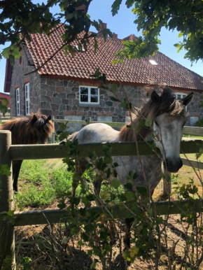 Ferielejlighed på Saxfjedgaard